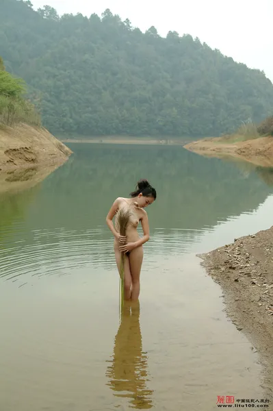 杨芳1