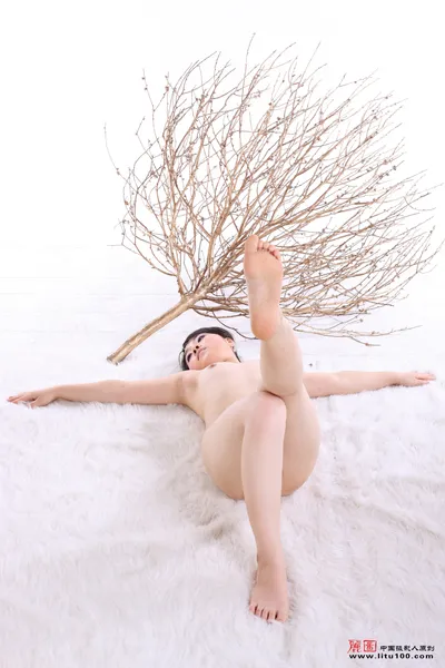 菜菜2