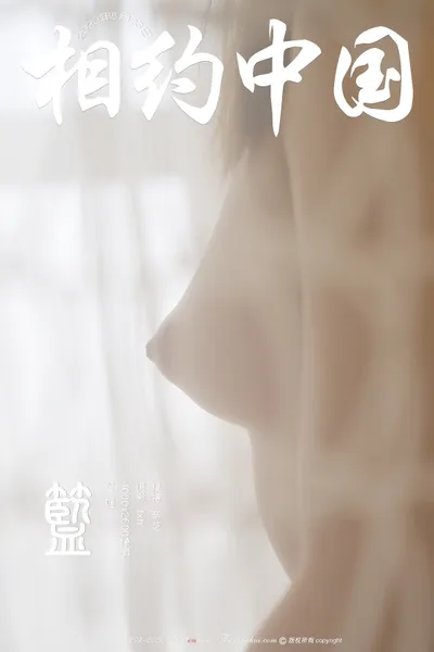 辛芝 Basket