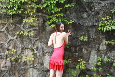 小雅4
