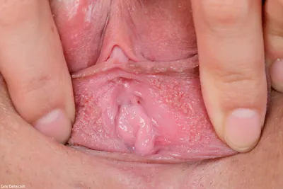 Related image