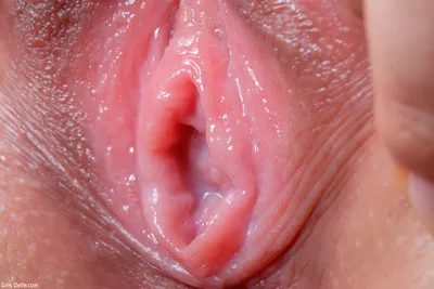 Related image