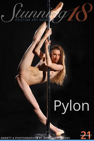 Annett A Pylon