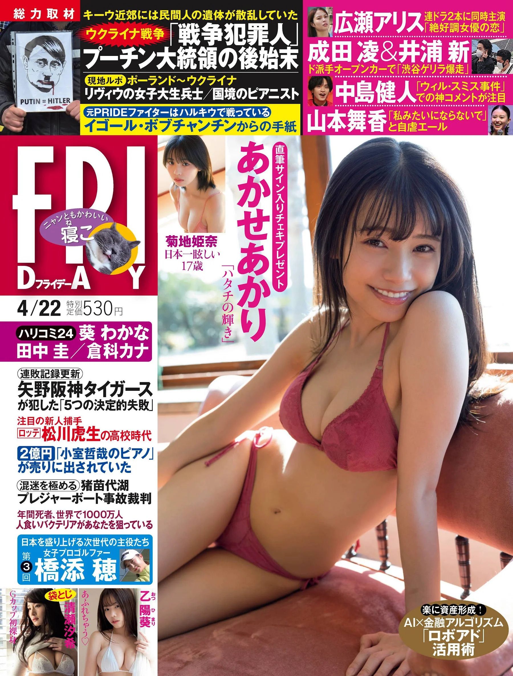 岸みゆ