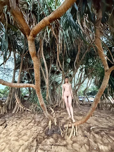 Related image