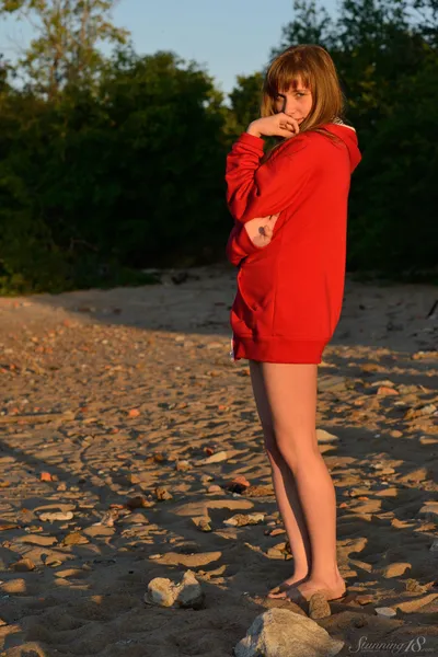 JENNY D SUNSET