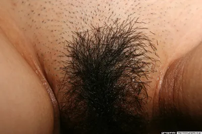 Related image