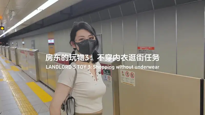 ของเล่นของเจ้าของบ้าน 3: ภารกิจช้อปปิ้งโดยไม่ใส่ชุดชั้นใน