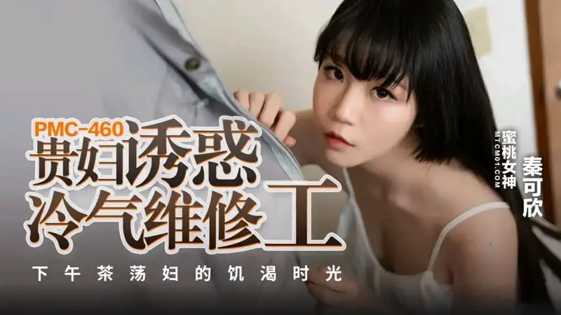 Lady seduces air conditioner repairman