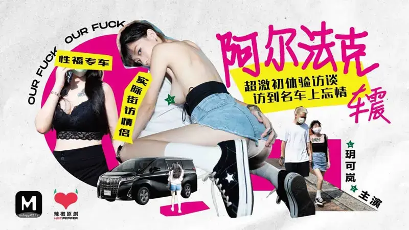 Alfak car shock