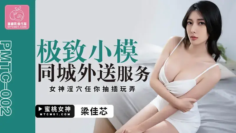 The ultimate small model delivery service within the city