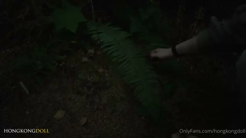 Forest (Zero) Prelude: Her Delusion