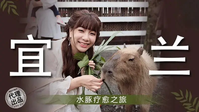 Yilan Capybara Healing Tour