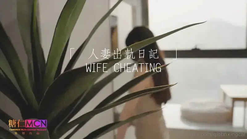 Wife's cheating diary