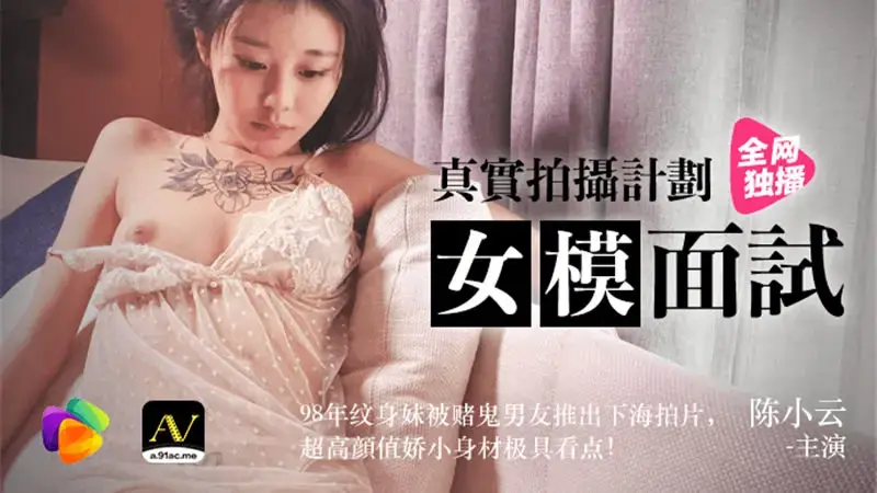 文琪